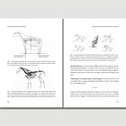 Seite mit wissenschaftlichen Abbildungen und Texten zur Haltung, Nutzung und Beschleunigung von Pferden.