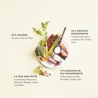**Titel:** DAS PRINZIP: BLUTZUCKERFREUNDLICH KOMBINIERT  
**50 % GEMÜSE:** Gemüse, Salat, Pilze  
**30 % PROTEIN-KOMPONENTE:** Hülsenfrüchte, Milchprodukte, Eier, Fleisch, Fisch  
**5 % ÖLE UND FETTE:** Pflanzliche Öle, Ölsaaten, Mandeln  
**15 % KOHLENHYDRAT-KOMPONENTE:** Vollkorn, Reis, Taschen  
**Abbildung:** Teller mit vielfältigen Lebensmitteln