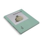 Titel: "Motherscape". Name am Rücken: "Leiko Ikemura". Cover in Grün mit einem Kunstmotiv.