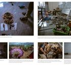 Fotos und Requisiten zum Erstellen von Online-Personas. Zerstreute Handys im Shunda Park nach Übernahme durch Behörden.