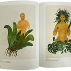 Links: „CAT. NO 3“ Rosana Paulino, Nasciaturas, 2023. Rechts: „CAT. NO 4“ Rosana Paulino, Espada de Iansã, 2022. Zwei illustrative Figuren mit Pflanzen.