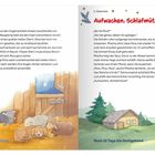 1. Dezember: "Ein besonderer Stern." 2. Dezember: "Aufwachen, Schlafmütze!" Unten: "Noch 23 Tage bis Heiligabend," "Noch 22 Tage."

Illustrationen: Ein Stall mit schlafenden Tieren, darunter Schafe und ein Hund auf Heu. Draußen eine Wiese mit grasendem Schaf und Haus.