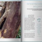 RINDENSCHÖNHEITEN IM WINTER. Für die winterliche Gartengestaltung sind die Rindenfärbungen der Gehölze von großer Bedeutung.