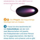 1c Halley'scher Komet, Wiederkehr 2061. 2b Pinguin lebt am Südpol. 3 Futsal: Hallenfußball mit 4 Spielern, 20-minütige Halbzeiten.