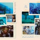 "MEIN LEBEN IM MEER!"  
Ein Unterwasserlabor, Taucher, Korallen, Monsterhelm, Aquariumslabor, Bilder und Beschreibungen von Tauchaktivitäten.