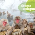 Text in grüner Blase: "Gaaaanz entspannt!" Schneeumgebene Japanmakaken baden in einer heißen Quelle. Entspannte Szene.