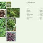 Text: "Wildkräuter" mit Liste von Kräutern. Zahlreiche Fotos von verschiedenen grünen Pflanzen und Kräutern.