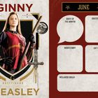 Texte: "GINNY WEASLEY", "GRYFFINDOR", "JUNE", "QUOTE OF THE MONTH!", "GRATEFUL FOR", "MIND & BODY", "EAT MORE", "WELLNESS GOALS:". Links eine Frau in Gryffindor-Quidditch-Uniform mit Besen. Rechts ein Kalender.