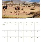 20 Planet Earth, DECEMBER 2027. Kalender für Dezember mit Straußenfamilie in einer Wüstenlandschaft, Berge im Hintergrund.