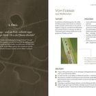 „1. Fall: Sabotage – und am Ende vielleicht sogar kaltblütiger Mord. Ob es die Pflanze überlebt?“, Text über eine zerstörte Pflanze.