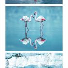 Kalenderseite für Februar 2021. Oben ein rotes Segelboot vor Eisberg, Flamingos mittig, unten ein rotes Flugzeug über Eis.