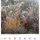 Kalenderblatt Februar 2027. Ein nebliger Garten mit hohem Gras und einem orangen Blumentopf.