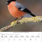 Kalenderblatt für Februar 2027. Ein Dompfaff sitzt auf einem Ast. Wochentage und Tage in Tabellenform darunter.