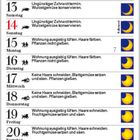 Februar 2027. Kalender mit täglichem Text: z.B. "Wohnung lüften, Fenster putzen", Mondphasen-Symbole.
