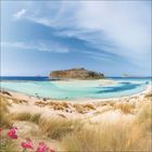 Keine Texte präsent. Sandstrand mit Dünen, türkisblauem Wasser, einer Insel im Hintergrund und blauem Himmel.