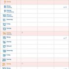 Kalender für Februar 2027. Enthält Wochentage, Feiertage und Mondphasen. Buntes Blumenmuster oben und unten.