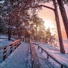 Ein verschneiter Pfad durch einen Wald, beleuchtet von einem warmen Sonnenuntergang am Horizont.