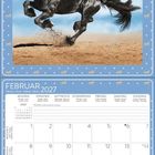 FEBRUAR 2027 Kalender mit einem Bild eines schwarzen Pferdes, das über eine sandige Fläche galoppiert.
