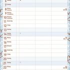 Kalender für Februar 2027, dekoriert mit Herzmotiven. Feiertage: 14. Valentinstag, 8. Rosenmontag.