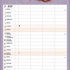 "Februar" wiederholt, Hund mit Vogelhaus auf Rücken, kleine Vögel, Monatskalender für Februar 2027 darunter.