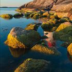 Ein Kalender zeigt den Monat Januar. Ein rot-weißer Leuchtturm steht auf Felsen am Meer, umgeben von Wasser und Algen.