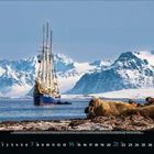 Februar, Mo, Di, Mi, Do, Fr, Sa, So. Segelschiff auf ruhigem Wasser, im Hintergrund verschneite Berge, Walrosse im Vordergrund.