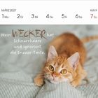 „Mein Wecker hat Schnurrhaare und ignoriert die Snooze-Taste.“ Roter Kater auf einer Decke. März 2027 Kalender.
