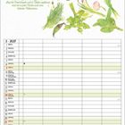 „Mit frischen Kräutern durchs ganze Jahr“. Illustrationen von Kräutern, darunter Basilikum, Lorbeerblätter und Rosmarin. Tabellenlayout.