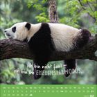 "Ich bin nicht faul – ich bin im Energiesparmodus." Ein Panda ruht auf einem Baumstamm, umgeben von grünen Blättern.