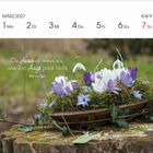 MÄRZ 2027. KW 9. "Die Natur ist immer neu, wenn das Auge frisch bleibt." Blumen in einem ovalen Gefäß auf Moos.