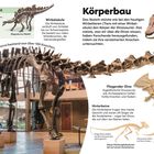Körperbau eines Diplodocus-Skeletts, Vordergrund: großer Dinosaurier in einem Museum, umgeben von Textblöcken.