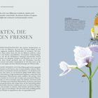 "Einführung: Insekten sind die häufigsten Tiere auf der Erde. Was sind Insekten? Tropische Wälder bieten Insekten vielfältigste Lebensräume."