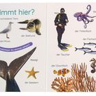"Wer schwimmt hier?" zeigt Quallen, Möwen, Seehunde und mehr. Der Taucher, Fischschwarm und Delfin sind zu sehen.