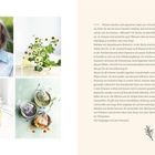 Texte beschreiben die Bedeutung von Kräutern im Alltag. Links Fotos: Eine ältere Frau, Kamille, Honigglas und getrocknete Kräuter.