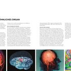 Überschrift: "Ein außergewöhnliches Organ".  
Texte beschreiben das Gehirn und Bewusstsein.  
Unten vier bunte Darstellungen von Gehirnen.