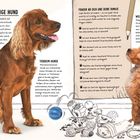 Der Text bespricht die Auswahl des richtigen Hundes, Tierheim-Hunde und Fragen zur Haustierhaltung. Zwei Hunde sind abgebildet.