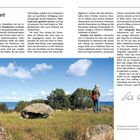 Vorwort zu einer Reise entlang der dänischen Ostseeküste. Bild zeigt eine Landschaft mit blauem Himmel, Wiese und Steinen.