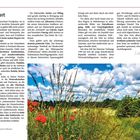 Vorwort über Nordpolen mit Fokus auf Landschaften, historische Erben und Gastfreundschaft. Bild zeigt eine Wiese mit Mohn.