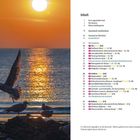 Inhalt: Verschiedene Themen über Ameland wie Inselorte, Kirchen, Museen. Links Sonnenuntergang am Meer mit fliegender Möwe.