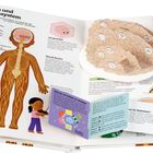 Titel: Das Gehirn und das Nervensystem. Darstellungen von Gehirn, Nervensystem und Menschen in einem interaktiven Buch.