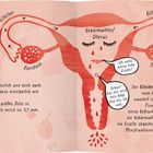 Eileiter, Eierstock, Gebärmutter/Uterus. Leb wohl, meine liebe Eizelle! Tschüs! Menstruationsblut ausgeschieden.