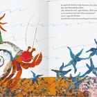 Text: Im April sah Herbert einige Seesterne. Illustration: Ein Einsiedlerkrebs mit einer Pflanze auf seinem Haus und blaue Seesterne.