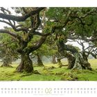 Kalenderseite, Februar 2023. Bild: Alte, moosbedeckte Bäume in nebeligem Wald auf Madeira, Portugal.