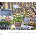 "Februar" in eleganter Schrift. Ein Tisch mit Frühlingsblumen in Töpfen, Gießkanne und Weidenkätzchen im Hintergrund.