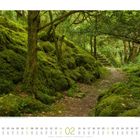 Eine mit Moos bewachsene Waldlandschaft. Unten Kalenderdaten vom 1. bis 28. Februar, oben Bäume und ein grüner Pfad.