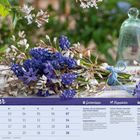 Februar Kalender mit Gartentipps, Rezeptidee für Grünen Vitamin-Smoothie und Saisonkalender.  Blumenarrangement im Hintergrund.