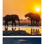 Text: 01-28, mit markierten Tagen in Orange: 07, 14, 21, 28. Unten rechts: 2.  
Szenen: Sonnenuntergänge mit Bäumen und Elefanten.