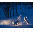 Kalender mit Januar und Februar 2023. Zwei Schneehasen spielen im Mondlicht auf einer verschneiten Landschaft.