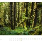 Text: "02", "Seven Sisters im Gwaii Haanas National Park, British Columbia, Kanada". Dicht mit Moos bewachsener Wald.
