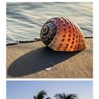 07, 14, 21 auf Kalender. Sonnenuntergang am Meer, Muschel am Strand, Hütte mit Palmen und Meerblick.